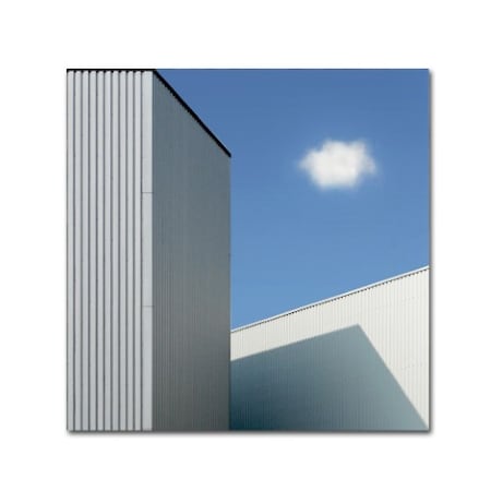 Henk Van Maastricht 'Cloud' Canvas Art,24x24